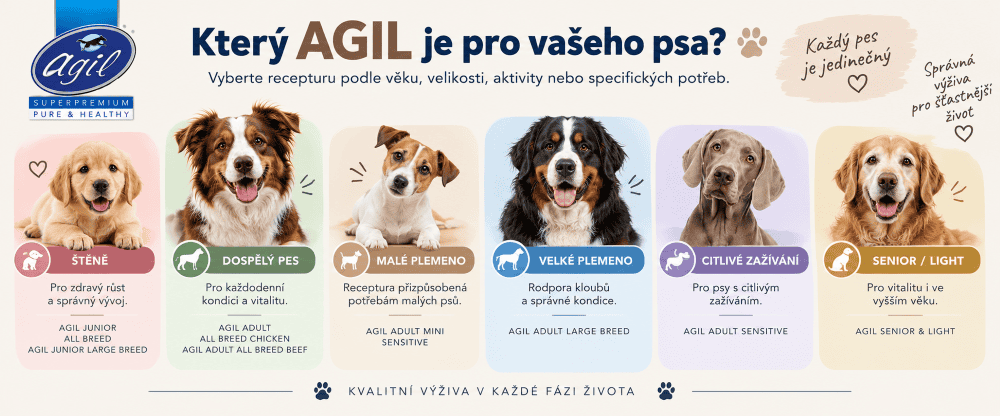 Průvodce výběrem krmiva Agil pro psy